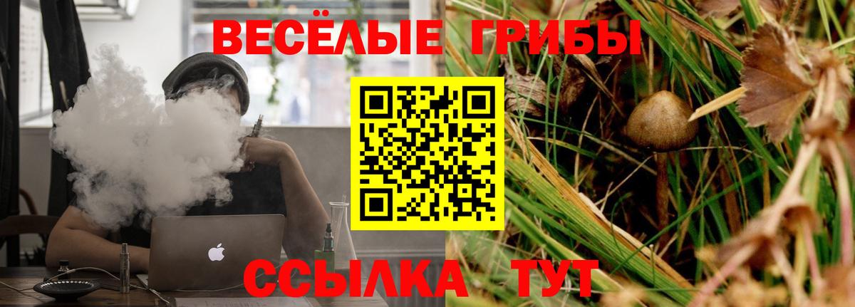 Псилоцибиновые грибы мицелий Мурино